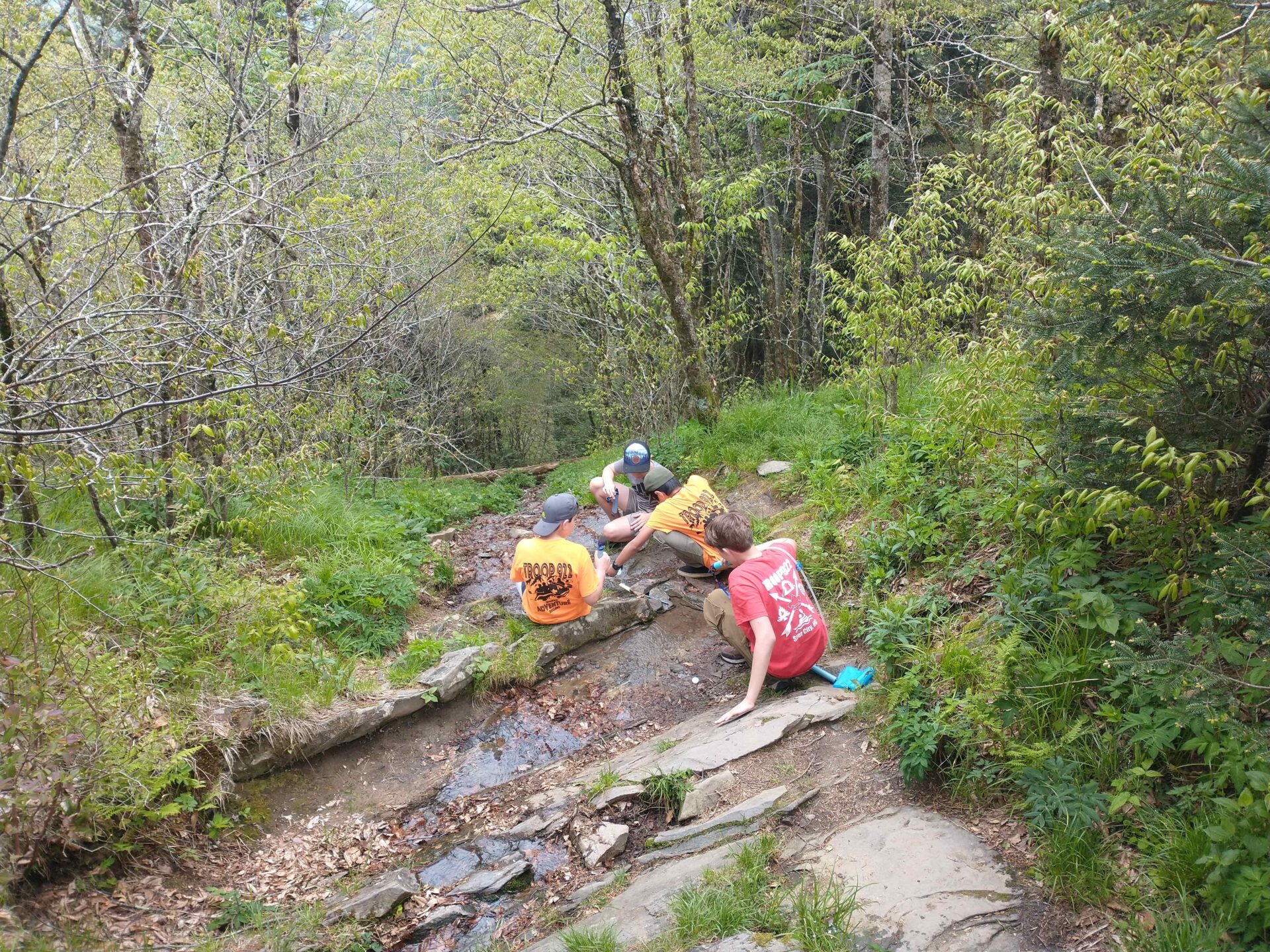 Water break, Great Smoky Mtn. NP - May 2025