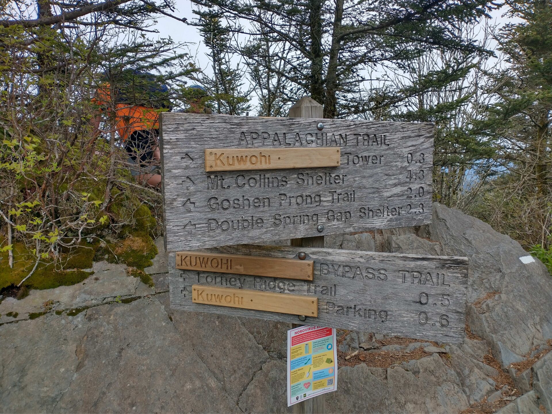 Appalachian Trail, Great Smoky Mtn. NP - May 2025